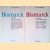 Bismarck (2 volumes) door Ernst Engelberg