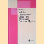 Infinite Dimensional Groups and Algebras in Quantum Physics door Johnny T. Ottesen