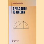 A Field Guide to Algebra door Antoine Chambert-Loir