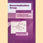 Renormalization Group door Giuseppe Benfatto