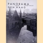 Panorama van Den Haag door Siebe Swart