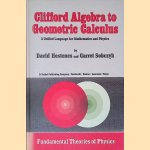 Clifford Algebra to Geometric Calculus: A Unified Language for Mathematics and Physics door David Hestenes e.a.