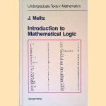 Introduction to Mathematical Logic: Set Theory Computable Functions Model Theory door J. Malitz