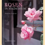 Rosen in Hildesheim door Franziska Lenferink