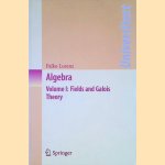 Algebra: Volume I: Fields and Galois Theory door Falko Lorenz