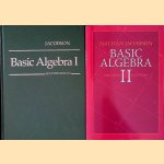 Basic Algebra - Second edition (2 volumes) door Nathan Jacobson