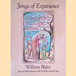 Songs of Experience: Facsimile Reproduction with 26 Plates in Full Color door William Blake