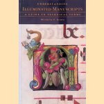 Understanding Illuminated Manuscripts: A Guide to Technical Terms door Michelle P. Brown