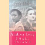 Small Island door Andrea Levy