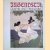 Jugendstil: Graphik und Druckkunst door Hans H. Hofstätter e.a.