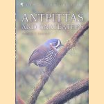 Antpittas and Gnateaters door Haold F. Greeney