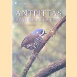 Antpittas and Gnateaters door Haold F. Greeney