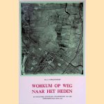 Workum op weg naar het heden: de functionele-ruimtelijke veranderingen van een IJsselmeerstadje sinds 1920
Drs. G. Stellingwerf
€ 8,00