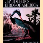 Audubons Birds of America
Jr. Dock
€ 20,00