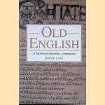 Old English: A Historical Linguistic Companion door Roger Lass