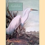 John James Audubon: Watercolours for the Birds of America
Annette Blaugrund e.a.
€ 100,00