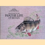 Field Guide to the Water Life of Britain by
Frances - and others Dipper
€ 10,00