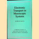 Electronic Transport in Mesoscopic Systems door Supriyo Datta