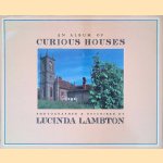 An Album of Curious Houses door Lucinda Lambton