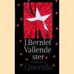 Vallende ster door J. Bernlef