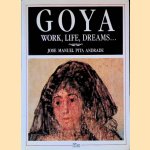 Goya: work, life, dreams
Jode Manuel Pita Andrade
€ 8,00