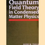 Quantum Field Theory in Condensed Matter Physics door Alexei Tsvelik