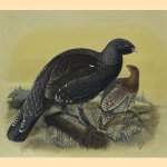 Game Birds and Shooting-Sketches; illustrating the habits, modes of capture, stages of plumage, and the hybrids and varieties which occur amongst them door John Guille Millais