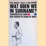 Wat doen we in Suriname?
Han Hansen e.a.
€ 8,00