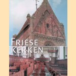 Friese kerken: een inleiding door Saskia van Lier e.a.