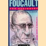 Foucault for Beginners door Lydia Alix Fillingham