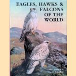 Eagles, Hawks and Falcons of the World: volume 1 door Leslie Brown e.a.