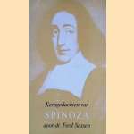 Kerngedachten van Spinoza door Ferd Sassen