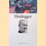 Heidegger door Michael Inwood