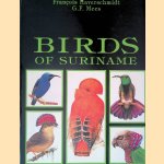 Birds of Suriname
François Haverschmidt e.a.
€ 150,00 Birds of Suriname
François Haverschmidt e.a.
€ 150,00