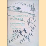 A Gathering of Shore Birds
Henry Marion Hall e.a.
€ 8,00 A Gathering of Shore Birds
Henry Marion Hall e.a.
€ 8,00