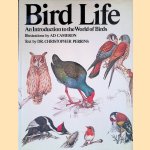 Bird Life: An Introduction to the World of Birds
Ad Cameron e.a.
€ 9,00 Bird Life: An Introduction to the World of Birds
Ad Cameron e.a.
€ 9,00