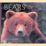 Bears
Lance Craighead
€ 12,50 Bears
Lance Craighead
€ 12,50