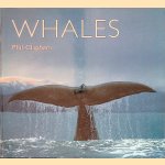 Whales
Phil Clapham
€ 10,00 Whales
Phil Clapham
€ 10,00