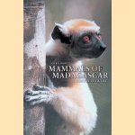 Mammals of Madagascar: A Complete Guide
Nick Garbutt
€ 30,00 Mammals of Madagascar: A Complete Guide
Nick Garbutt
€ 30,00