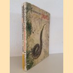 Introducing Non-Poisonous Snakes; Introducing Snakes (2 volumes)
V. J. Stanek
€ 12,50 Introducing Non-Poisonous Snakes; Introducing Snakes (2 volumes)
V. J. Stanek
€ 12,50