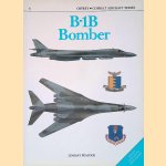 B-1B Bomber
Lindsay T. Peacock
€ 8,00 B-1B Bomber
Lindsay T. Peacock
€ 8,00