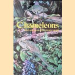 Chameleons: The Little Lions of the Reptile World
Jeanne Cowden
€ 10,00 Chameleons: The Little Lions of the Reptile World
Jeanne Cowden
€ 10,00