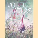 Vogelatlas van Nederland - Vierde druk
Fred - en anderen Hustings
€ 35,00 Vogelatlas van Nederland - Vierde druk
Fred - en anderen Hustings
€ 35,00