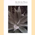 Die Welt der Pflanze: Photographien von Albert Renger-Patzsch und aus dem Auriga-Verlag
Albert Renger-Patzsch e.a.
€ 15,00 Die Welt der Pflanze: Photographien von Albert Renger-Patzsch und aus dem Auriga-Verlag
Albert Renger-Patzsch e.a.
€ 15,00