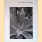 Die Welt der Pflanze: Photographien von Albert Renger-Patzsch und aus dem Auriga-Verlag
Albert Renger-Patzsch e.a.
€ 15,00 Die Welt der Pflanze: Photographien von Albert Renger-Patzsch und aus dem Auriga-Verlag
Albert Renger-Patzsch e.a.
€ 15,00