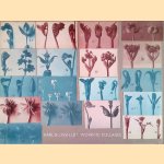 Karl Blossfeldt: Working Collages door Ann Wilde e.a. Karl Blossfeldt: Working Collages door Ann Wilde e.a.