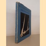 Wunderbare Welt der Pflanzen: Formen und Strukturen der Blütenpflanzen
C. Postma
€ 30,00 Wunderbare Welt der Pflanzen: Formen und Strukturen der Blütenpflanzen
C. Postma
€ 30,00