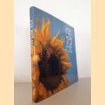 Eye to eye: Vincent Van Gogh: Een foto essay *GESIGNEERD*
Paul Huf e.a.
€ 20,00 Eye to eye: Vincent Van Gogh: Een foto essay *GESIGNEERD*
Paul Huf e.a.
€ 20,00