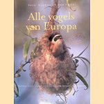 Alle vogels van Europa: strandvogels, broedvogels, doortrekkers, wintergasten, dwaalgasten
Peter Hayman e.a.
€ 17,50 Alle vogels van Europa: strandvogels, broedvogels, doortrekkers, wintergasten, dwaalgasten
Peter Hayman e.a.
€ 17,50