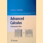 Advanced Calculus: A Geometric View
James J. Callahan
€ 30,00 Advanced Calculus: A Geometric View
James J. Callahan
€ 30,00